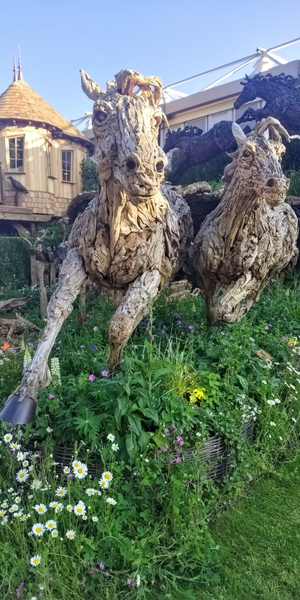 Chelsea Flower show Best trade stand 2025 | Onwards and Up