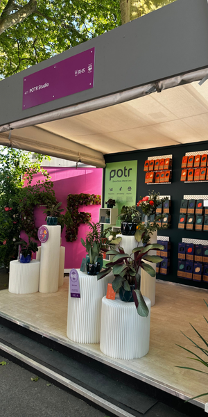 Innovative Business 2025 - Potr Studio | Onwards and Up